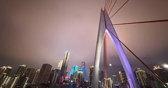 cn个人域名注册查询网址